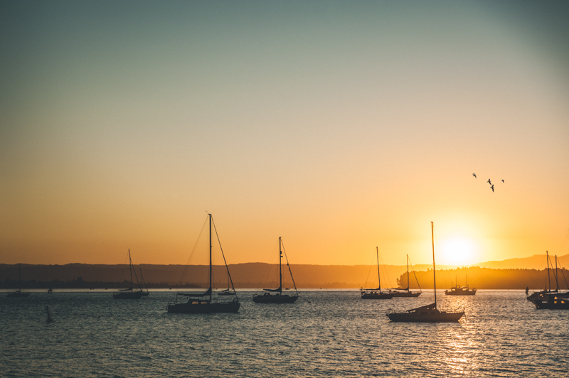 Golden hour light illuminating sailboats moored near Mount Maunganui in New Zealand