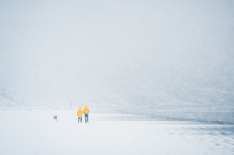 Two people walking their dog on a snowy beach near Tofino during winter